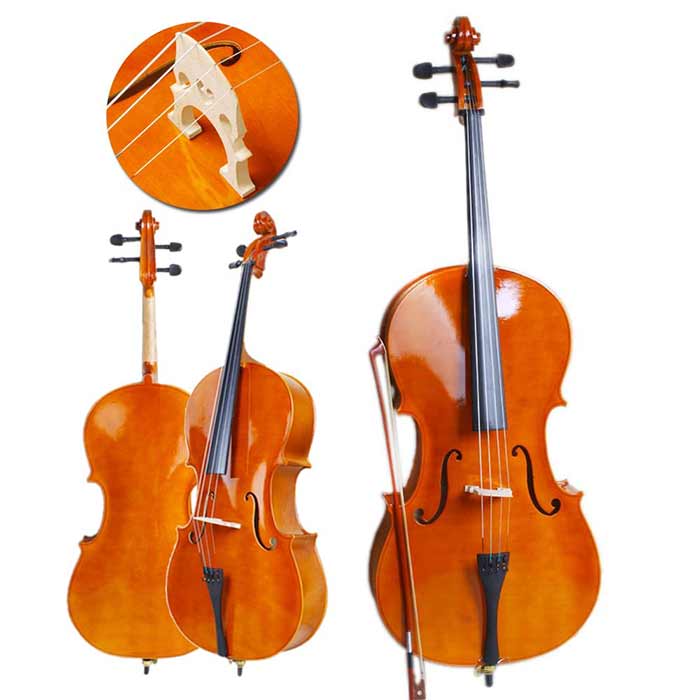 ویولن سل کلاسیک
