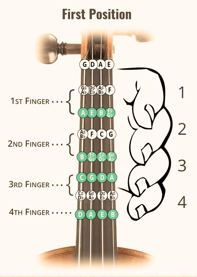 موقعیت انگشت اول روی ویولن 